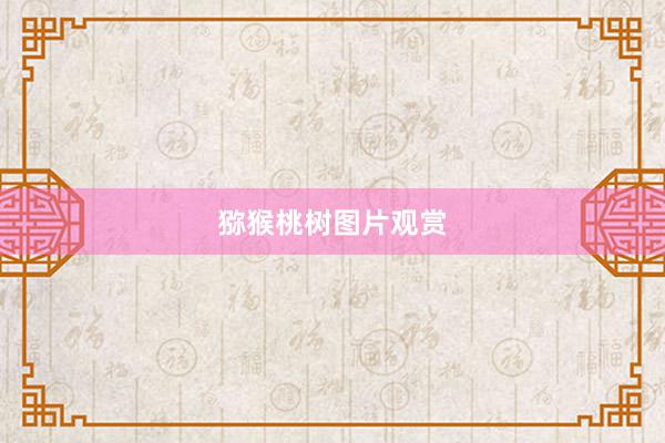 猕猴桃树图片观赏